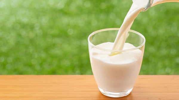 乳製品由来のタンパク質でバランスの良い健康的な食生活を